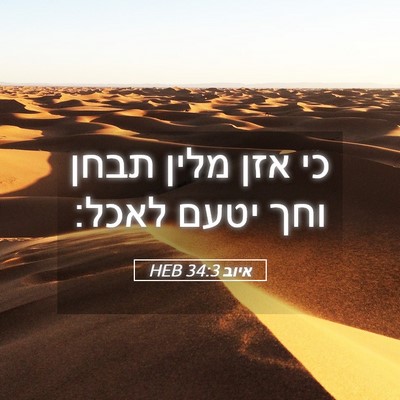 Picture 05 - איוב 34:3 HEB - כי אזן מלין תבחן וחך יטעם - Bible Verse Picture