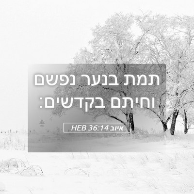 Picture 05 - איוב 36:14 HEB - תמת בנער נפשם וחיתם - Bible Verse Picture