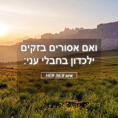 Picture 05 - איוב 36:8 HEB - ואם אסורים בזקים ילכדון - Bible Verse Picture