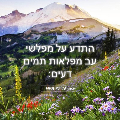 Picture 05 - איוב 37:16 HEB - התדע על מפלשי עב מפלאות - Bible Verse Picture