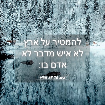 Picture 05 - איוב 38:26 HEB - להמטיר על ארץ לא איש מדבר - Bible Verse Picture