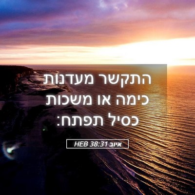 Picture 05 - איוב 38:31 HEB - התקשר מעדנות כימה או משכות - Bible Verse Picture