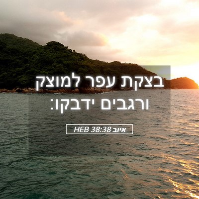 Picture 05 - איוב 38:38 HEB - בצקת עפר למוצק ורגבים - Bible Verse Picture