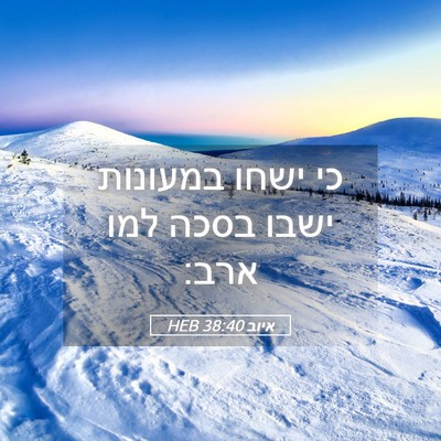 Picture 05 - איוב 38:40 HEB - כי ישחו במעונות ישבו בסכה - Bible Verse Picture