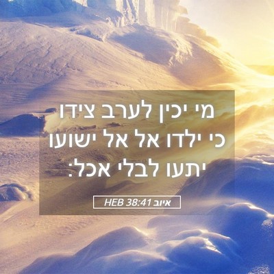 Picture 05 - איוב 38:41 HEB - מי יכין לערב צידו כי ילדו - Bible Verse Picture