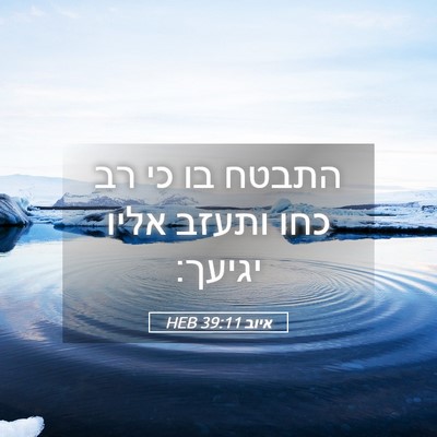 Picture 05 - איוב 39:11 HEB - התבטח בו כי רב כחו ותעזב - Bible Verse Picture
