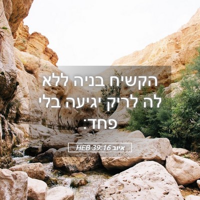 Picture 05 - איוב 39:16 HEB - הקשיח בניה ללא לה לריק - Bible Verse Picture