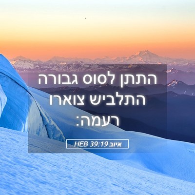 Picture 05 - איוב 39:19 HEB - התתן לסוס גבורה התלביש - Bible Verse Picture