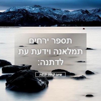 Picture 05 - איוב 39:2 HEB - תספר ירחים תמלאנה וידעת עת - Bible Verse Picture