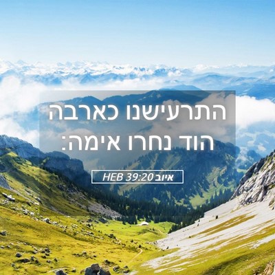 Picture 05 - איוב 39:20 HEB - התרעישנו כארבה הוד נחרו - Bible Verse Picture