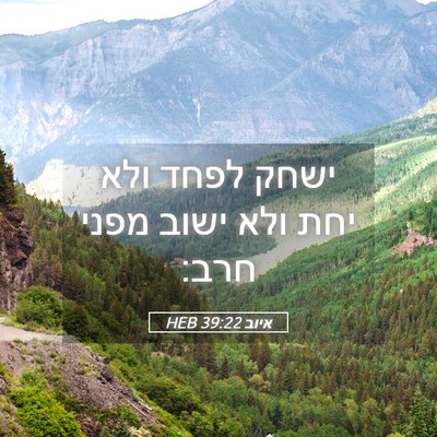 Picture 05 - איוב 39:22 HEB - ישחק לפחד ולא יחת ולא ישוב - Bible Verse Picture
