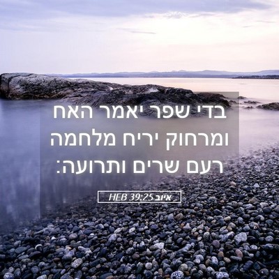 Picture 05 - איוב 39:25 HEB - בדי שפר יאמר האח ומרחוק - Bible Verse Picture