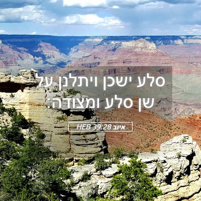 Picture 05 - איוב 39:28 HEB - סלע ישכן ויתלנן על שן סלע - Bible Verse Picture