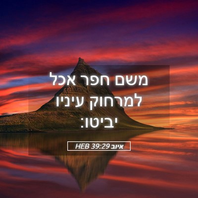 Picture 05 - איוב 39:29 HEB - משם חפר אכל למרחוק עיניו - Bible Verse Picture