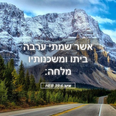 Picture 05 - איוב 39:6 HEB - אשר שמתי ערבה ביתו - Bible Verse Picture