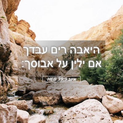 Picture 05 - איוב 39:9 HEB - היאבה רים עבדך אם ילין על - Bible Verse Picture