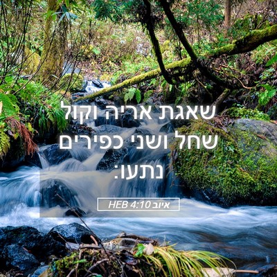 Picture 05 - איוב 4:10 HEB - שאגת אריה וקול שחל ושני - Bible Verse Picture