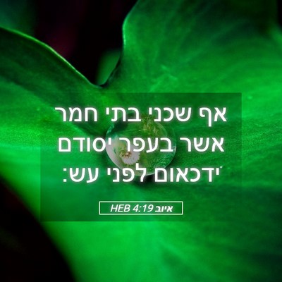 Picture 05 - איוב 4:19 HEB - אף שכני בתי חמר אשר בעפר - Bible Verse Picture