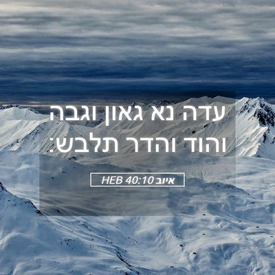 Picture 05 - איוב 40:10 HEB - עדה נא גאון וגבה והוד והדר - Bible Verse Picture