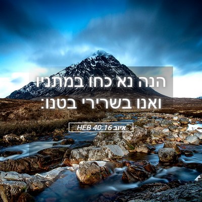 Picture 05 - איוב 40:16 HEB - הנה נא כחו במתניו ואנו - Bible Verse Picture