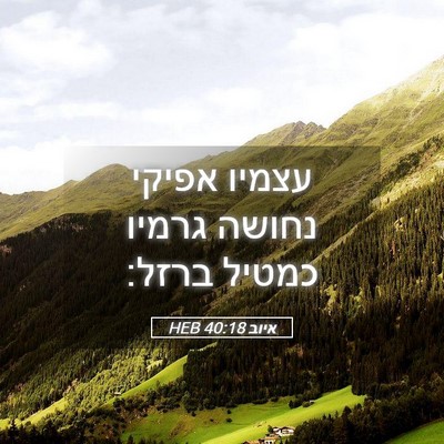 Picture 05 - איוב 40:18 HEB - עצמיו אפיקי נחושה גרמיו - Bible Verse Picture