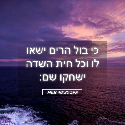 Picture 05 - איוב 40:20 HEB - כי בול הרים ישאו לו וכל חית - Bible Verse Picture
