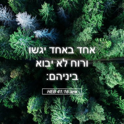 Picture 05 - איוב 41:16 HEB - אחד באחד יגשו ורוח לא יבוא - Bible Verse Picture