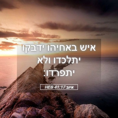 Picture 05 - איוב 41:17 HEB - איש באחיהו ידבקו יתלכדו - Bible Verse Picture
