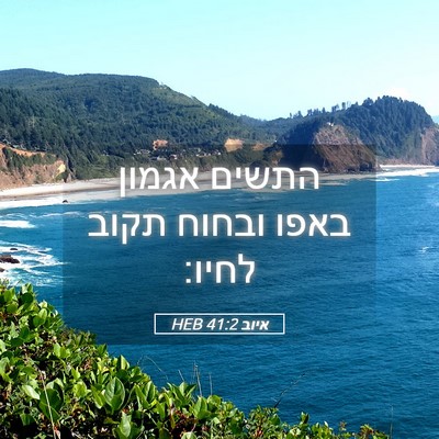 Picture 05 - איוב 41:2 HEB - התשים אגמון באפו ובחוח - Bible Verse Picture