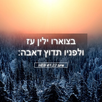 Picture 05 - איוב 41:22 HEB - בצוארו ילין עז ולפניו תדוץ - Bible Verse Picture
