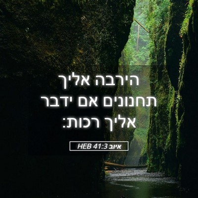 Picture 05 - איוב 41:3 HEB - הירבה אליך תחנונים אם ידבר - Bible Verse Picture