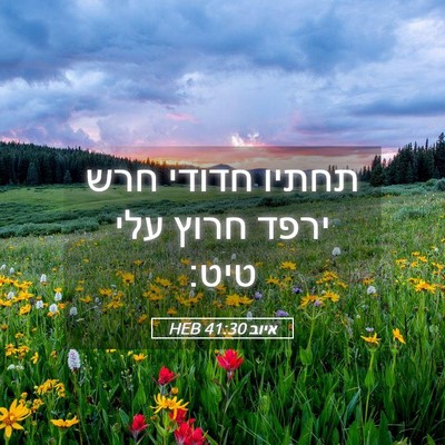 Picture 05 - איוב 41:30 HEB - תחתיו חדודי חרש ירפד חרוץ - Bible Verse Picture