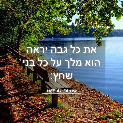 Picture 05 - איוב 41:34 HEB - את כל גבה יראה הוא מלך על כל - Bible Verse Picture