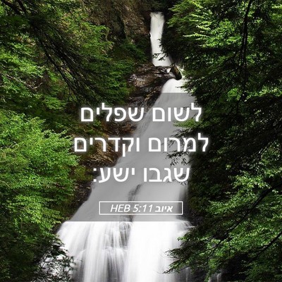Picture 05 - איוב 5:11 HEB - לשום שפלים למרום וקדרים - Bible Verse Picture