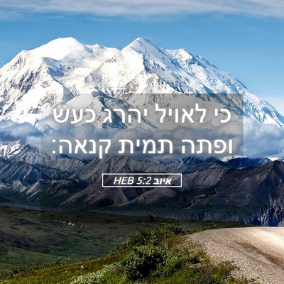 Picture 05 - איוב 5:2 HEB - כי לאויל יהרג כעש ופתה תמית - Bible Verse Picture