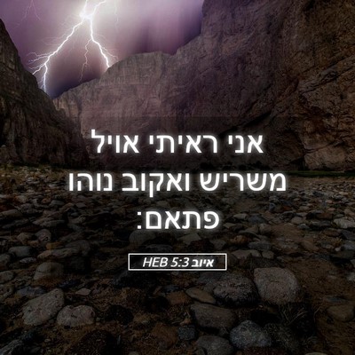 Picture 05 - איוב 5:3 HEB - אני ראיתי אויל משריש ואקוב - Bible Verse Picture