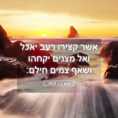 Picture 05 - איוב 5:5 HEB - אשר קצירו רעב יאכל ואל - Bible Verse Picture