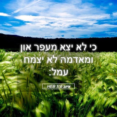 Picture 05 - איוב 5:6 HEB - כי לא יצא מעפר און ומאדמה - Bible Verse Picture