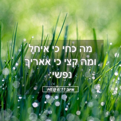 Picture 05 - איוב 6:11 HEB - מה כחי כי איחל ומה קצי כי - Bible Verse Picture