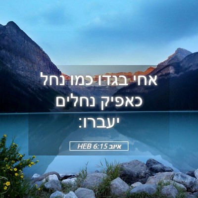 Picture 05 - איוב 6:15 HEB - אחי בגדו כמו נחל כאפיק - Bible Verse Picture