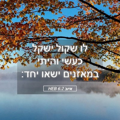 Picture 05 - איוב 6:2 HEB - לו שקול ישקל כעשי והיתי - Bible Verse Picture