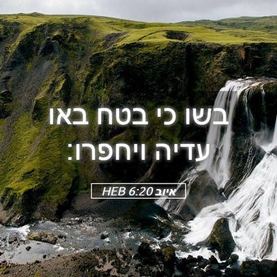 Picture 05 - איוב 6:20 HEB - בשו כי בטח באו עדיה - Bible Verse Picture