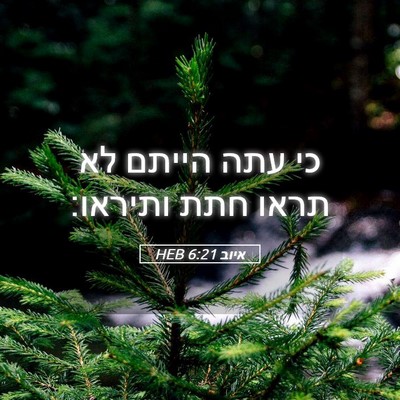 Picture 05 - איוב 6:21 HEB - כי עתה הייתם לא תראו חתת - Bible Verse Picture