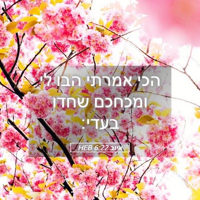 Picture 05 - איוב 6:22 HEB - הכי אמרתי הבו לי ומכחכם - Bible Verse Picture