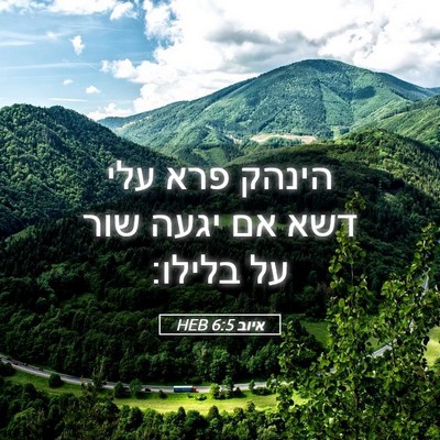 Picture 05 - איוב 6:5 HEB - הינהק פרא עלי דשא אם יגעה - Bible Verse Picture