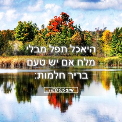 Picture 05 - איוב 6:6 HEB - היאכל תפל מבלי מלח אם יש - Bible Verse Picture