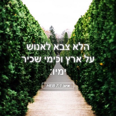 Picture 05 - איוב 7:1 HEB - הלא צבא לאנוש על ארץ וכימי - Bible Verse Picture