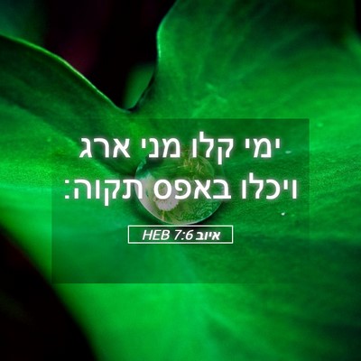 Picture 05 - איוב 7:6 HEB - ימי קלו מני ארג ויכלו באפס - Bible Verse Picture