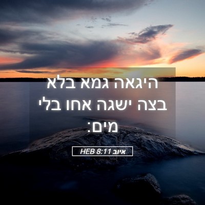 Picture 05 - איוב 8:11 HEB - היגאה גמא בלא בצה ישגה אחו - Bible Verse Picture