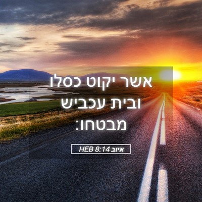 Picture 05 - איוב 8:14 HEB - אשר יקוט כסלו ובית עכביש - Bible Verse Picture